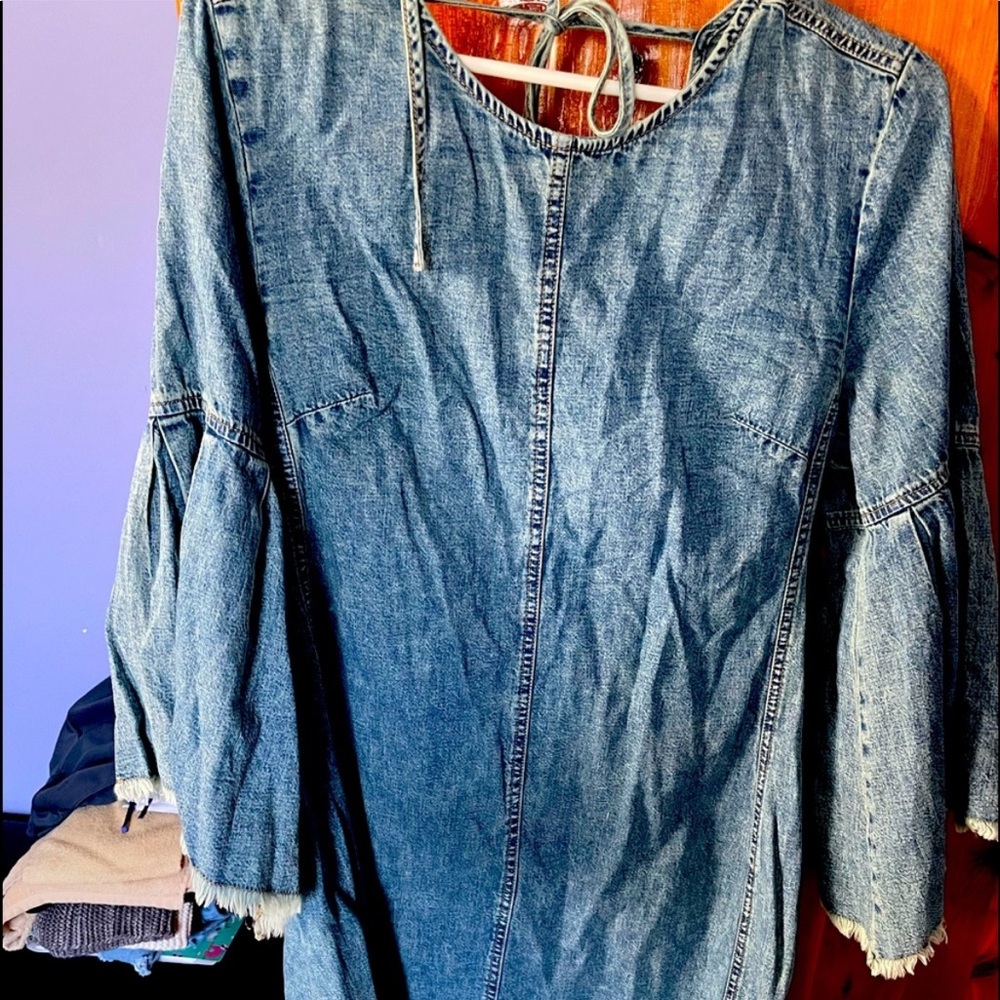 Free people denim dress